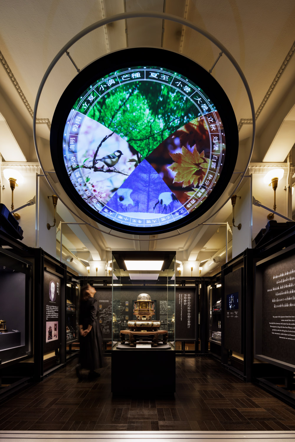 国⽴科学博物館 ⽇本館1階南翼「⾃然をみる技」リニューアル