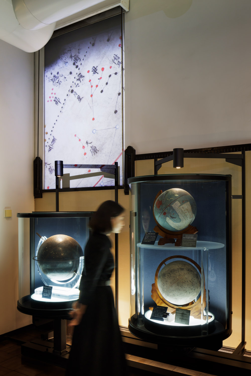 国⽴科学博物館 ⽇本館1階南翼「⾃然をみる技」リニューアル