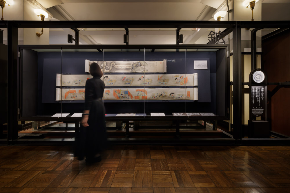 国⽴科学博物館 ⽇本館1階南翼「⾃然をみる技」リニューアル